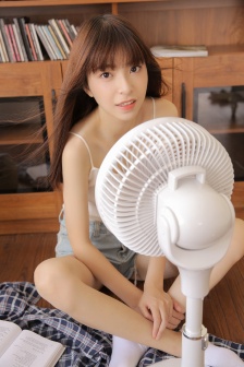 flash动画